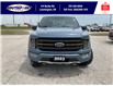 2023 Ford F-150 Tremor (Stk: SPFF00460A) in Leamington - Image 2 of 38