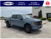 2023 Ford F-150 Tremor (Stk: SPFF00460A) in Leamington - Image 3 of 38
