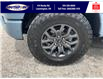 2023 Ford F-150 Tremor (Stk: SPFF00460A) in Leamington - Image 11 of 38