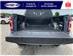 2023 Ford F-150 Tremor (Stk: SPFF00460A) in Leamington - Image 12 of 38