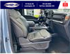 2023 Ford F-150 Tremor (Stk: SPFF00460A) in Leamington - Image 18 of 38