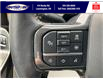 2023 Ford F-150 Tremor (Stk: SPFF00460A) in Leamington - Image 29 of 38