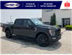 2023 Ford F-150 Platinum (Stk: SPFF00457A) in Leamington - Image 1 of 38