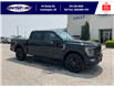 2023 Ford F-150 Platinum (Stk: SPFF00457A) in Leamington - Image 3 of 38