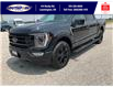 2023 Ford F-150 Platinum (Stk: SPFF00457A) in Leamington - Image 10 of 38