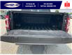 2023 Ford F-150 Platinum (Stk: SPFF00457A) in Leamington - Image 12 of 38