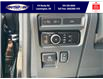 2023 Ford F-150 Platinum (Stk: SPFF00457A) in Leamington - Image 26 of 38