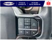 2023 Ford F-150 Platinum (Stk: SPFF00457A) in Leamington - Image 29 of 38
