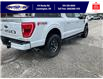 2022 Ford F-150 XLT (Stk: SPLFBR00197A) in Leamington - Image 6 of 38