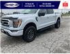 2022 Ford F-150 XLT (Stk: SPLFBR00197A) in Leamington - Image 10 of 38