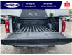 2022 Ford F-150 XLT (Stk: SPLFBR00197A) in Leamington - Image 12 of 38