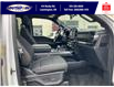2022 Ford F-150 XLT (Stk: SPLFBR00197A) in Leamington - Image 18 of 38