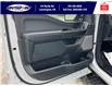 2022 Ford F-150 XLT (Stk: SPLFBR00197A) in Leamington - Image 23 of 38