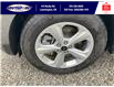 2024 Ford Edge SE (Stk: SP00201T) in Leamington - Image 11 of 30