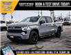 2025 Chevrolet Silverado 1500 RST (Stk: LC1S00160) in Tilbury - Image 3 of 28