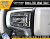 2025 Chevrolet Silverado 1500 RST (Stk: LC1S00160) in Tilbury - Image 19 of 28
