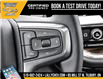 2025 Chevrolet Silverado 1500 RST (Stk: LC1S00257) in Tilbury - Image 21 of 30