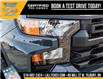2025 Chevrolet Silverado 1500 Custom Trail Boss (Stk: LC1S00280) in Tilbury - Image 9 of 26
