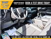 2025 Chevrolet Silverado 1500 Custom Trail Boss (Stk: LC1S00280) in Tilbury - Image 13 of 26