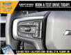 2025 Chevrolet Silverado 1500 RST (Stk: LC1S00291) in Tilbury - Image 21 of 31
