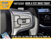 2025 Chevrolet Silverado 1500 RST (Stk: LC1S00291) in Tilbury - Image 22 of 31