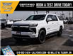 2025 Chevrolet Suburban LS (Stk: LCSU00249) in Tilbury - Image 3 of 29