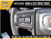 2020 GMC Sierra 1500 Base (Stk: LC00110P) in Tilbury - Image 21 of 24