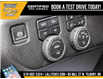 2025 Chevrolet Silverado 1500 RST (Stk: LC1S00274) in Tilbury - Image 13 of 30