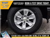 2025 Chevrolet Silverado 1500 Work Truck (Stk: LC1S00293) in Tilbury - Image 8 of 27