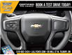 2025 Chevrolet Silverado 1500 Work Truck (Stk: LC1S00293) in Tilbury - Image 18 of 27