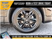 2022 Chevrolet Blazer True North (Stk: LCBL00141A) in Tilbury - Image 8 of 29