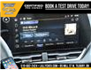 2025 Chevrolet Equinox LT (Stk: LCEQ00320) in Tilbury - Image 24 of 29