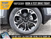 2025 Chevrolet Equinox LT (Stk: LCEQ00225) in Tilbury - Image 8 of 28