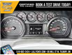 2025 Chevrolet Silverado 1500 Work Truck (Stk: LC1S00350) in Tilbury - Image 25 of 26