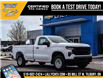 2025 Chevrolet Silverado 1500 Work Truck (Stk: LC1S00350) in Tilbury - Image 26 of 26