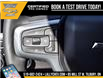 2025 Chevrolet Silverado 1500 LT Trail Boss (Stk: LC1S00369) in Tilbury - Image 20 of 30