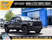 2025 Chevrolet Silverado 1500 Custom Trail Boss (Stk: LC1S00359) in Tilbury - Image 1 of 25