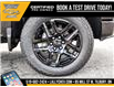 2025 Chevrolet Silverado 1500 Custom Trail Boss (Stk: LC1S00359) in Tilbury - Image 8 of 25