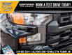 2025 Chevrolet Silverado 1500 Custom Trail Boss (Stk: LC1S00359) in Tilbury - Image 9 of 25