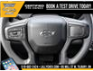 2025 Chevrolet Silverado 1500 Custom Trail Boss (Stk: LC1S00359) in Tilbury - Image 17 of 25