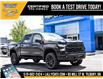 2025 Chevrolet Silverado 1500 Custom Trail Boss (Stk: LC1S00359) in Tilbury - Image 25 of 25