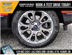 2021 Ford EcoSport Titanium (Stk: LCCV00088A) in Tilbury - Image 8 of 27