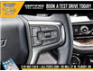 2025 Chevrolet Silverado 1500 LT Trail Boss (Stk: LC1S00203) in Tilbury - Image 21 of 30