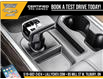 2025 Chevrolet Silverado 1500 LT Trail Boss (Stk: LC1S00203) in Tilbury - Image 23 of 30