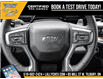 2025 Chevrolet Silverado 1500 RST (Stk: LC1S00346) in Tilbury - Image 19 of 30