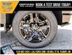 2025 Chevrolet Silverado 1500 LT Trail Boss (Stk: LC1S00360) in Tilbury - Image 8 of 30