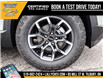 2026 Chevrolet Equinox ACTIV (Stk: LCEQ00388) in Tilbury - Image 8 of 29