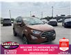 2020 Ford EcoSport Titanium (Stk: MW00450) in Tilbury - Image 4 of 19