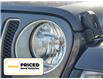 2019 Jeep Wrangler Unlimited Sahara (Stk: S1020A) in Hamilton - Image 10 of 27