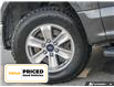 2016 Ford F-150  (Stk: P4408A) in Welland - Image 6 of 22